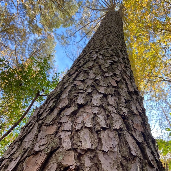 Meet your Posher, Melanie - Picture 8 of 16